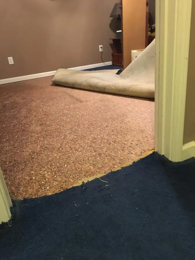 Carpet pad removal revealing water damage during Drying & Dehumidification in Martins Ferry