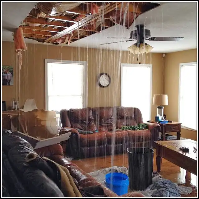 Water Damage Restoration services in Martins Ferry, OH