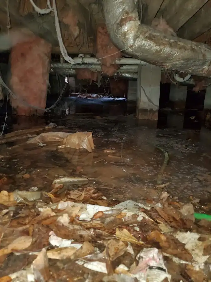 Crawl space flood assessment for Leak Detection & Repair in Martins Ferry